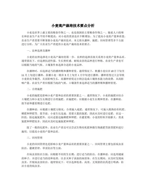 小麦高产栽培技术要点分析