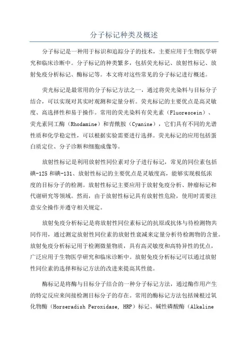 分子标记种类及概述