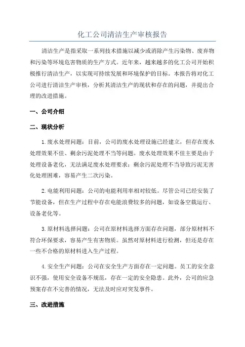 化工公司清洁生产审核报告