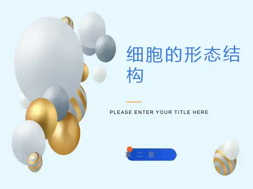 细胞的形态与结构