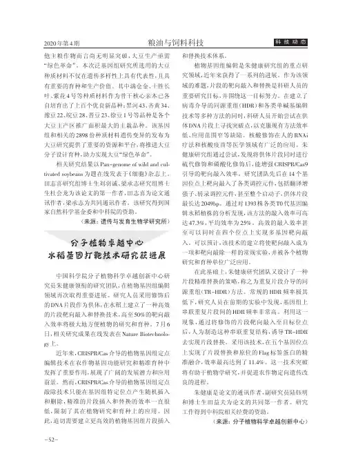 分子植物卓越中心水稻基因打靶技术研究获进展