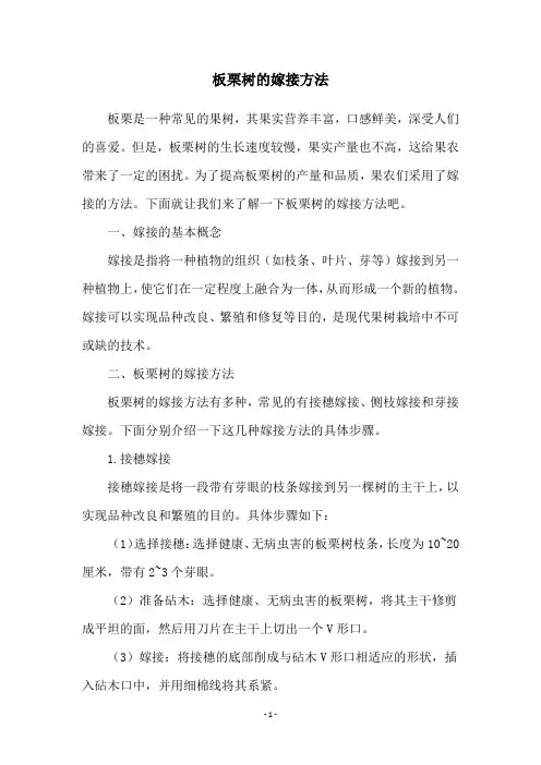 板栗树的嫁接方法