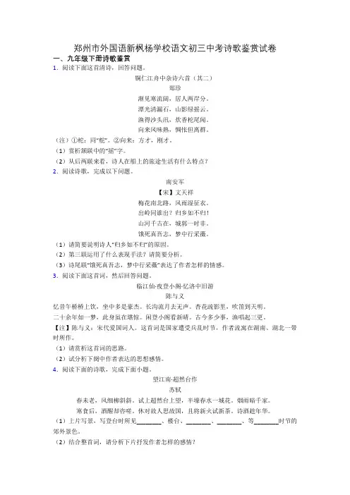 郑州市外国语新枫杨学校语文初三中考诗歌鉴赏试卷