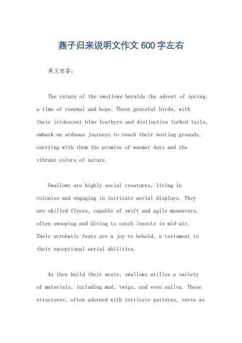 燕子归来说明文作文600字左右