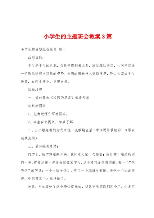 小学生的主题班会教案3篇