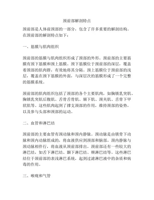 颈前部解剖特点