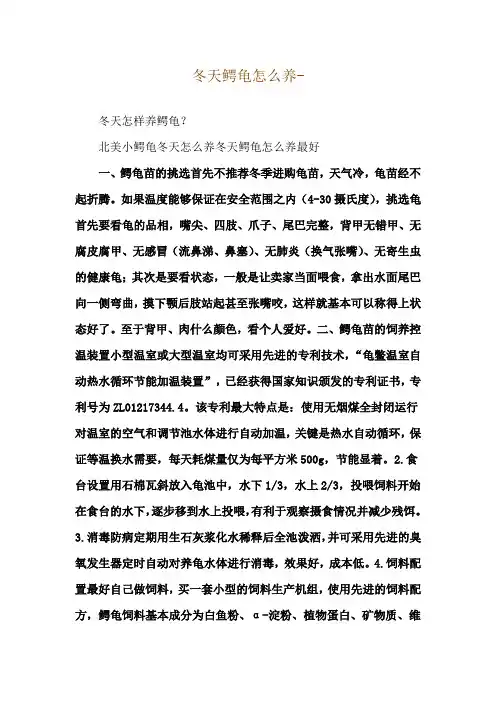 冬天鳄龟怎么养--冬天怎样养鳄龟？