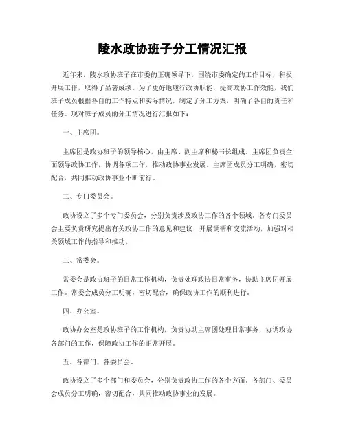 陵水政协班子分工情况汇报