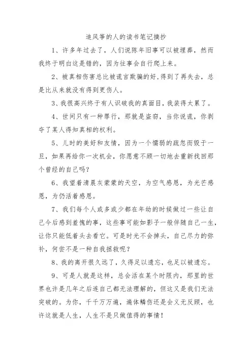 追风筝的人的读书笔记摘抄