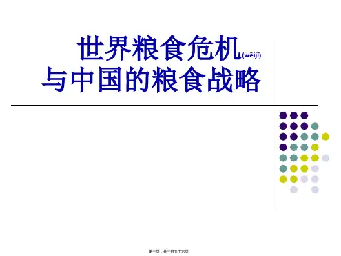 世界粮食危机与中国的粮食战略(ppt版)