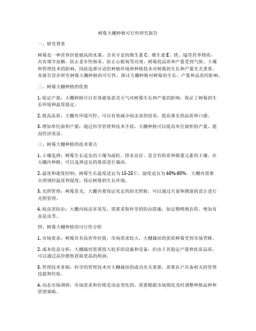 树莓大棚种植可行性研究报告