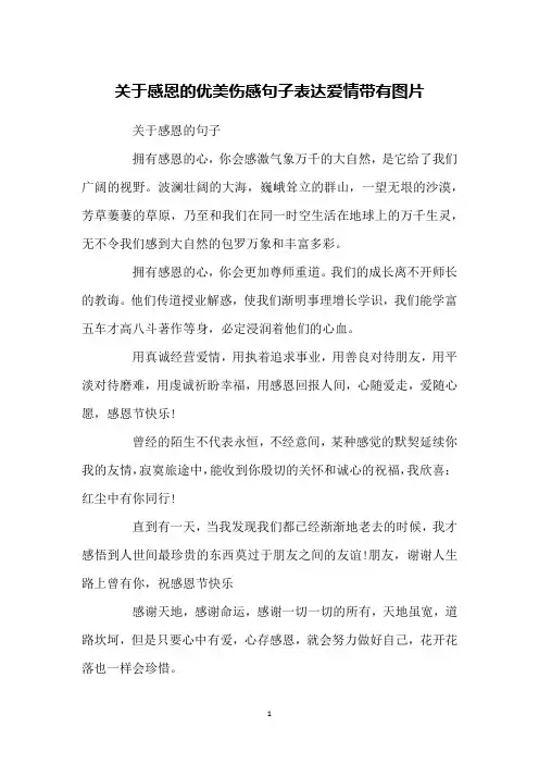 关于感恩的优美伤感句子表达爱情带有图片