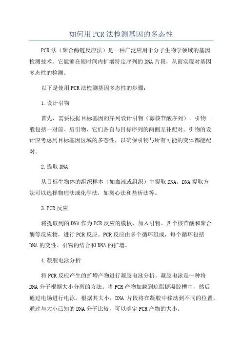 如何用PCR法检测基因的多态性