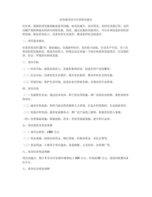村发展项目可行性研究报告