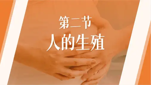 第四单元第一章第二节人的生殖 课件 人教版生物七年级下册