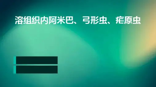溶组织内阿米巴弓形虫疟原虫