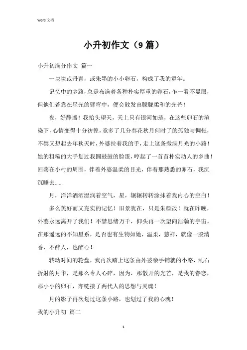小升初作文(9篇)