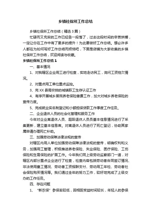 乡镇社保所工作总结