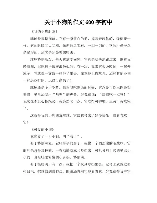 关于小狗的作文600字初中