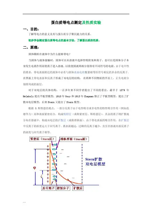 蛋白质等电点测定