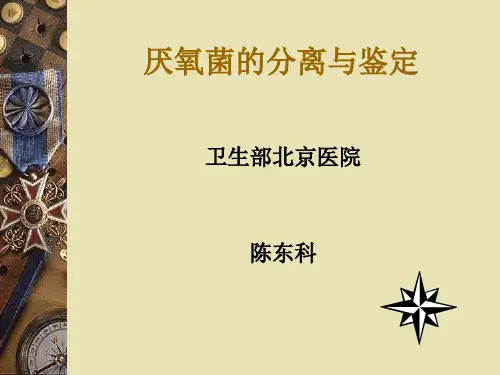 厌氧菌的分离和鉴定