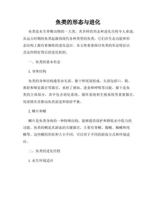 鱼类的形态与进化