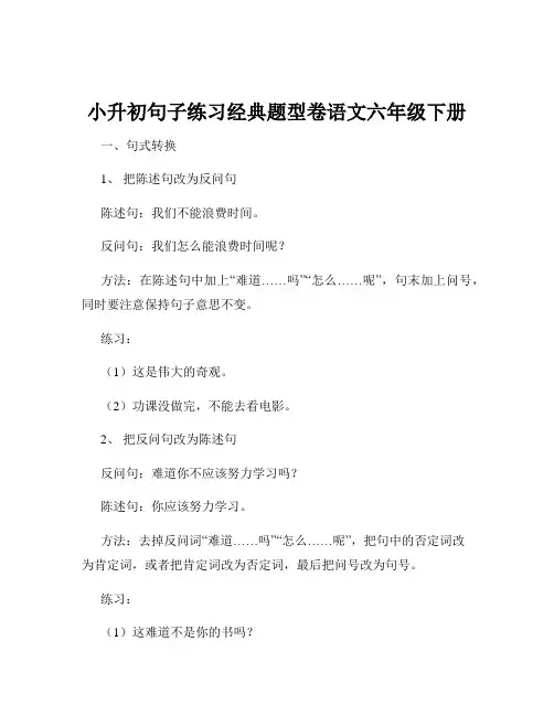 小升初句子练习经典题型卷语文六年级下册