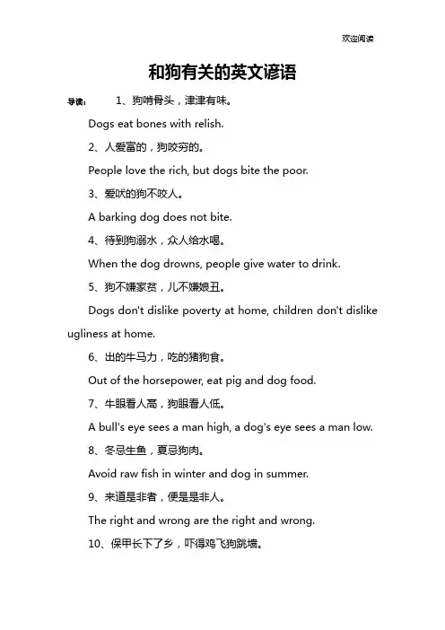 和狗有关的英文谚语
