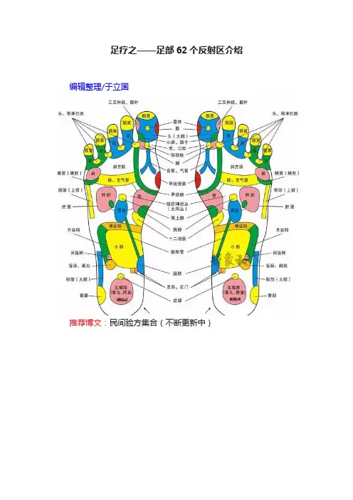 足疗之——足部62个反射区介绍