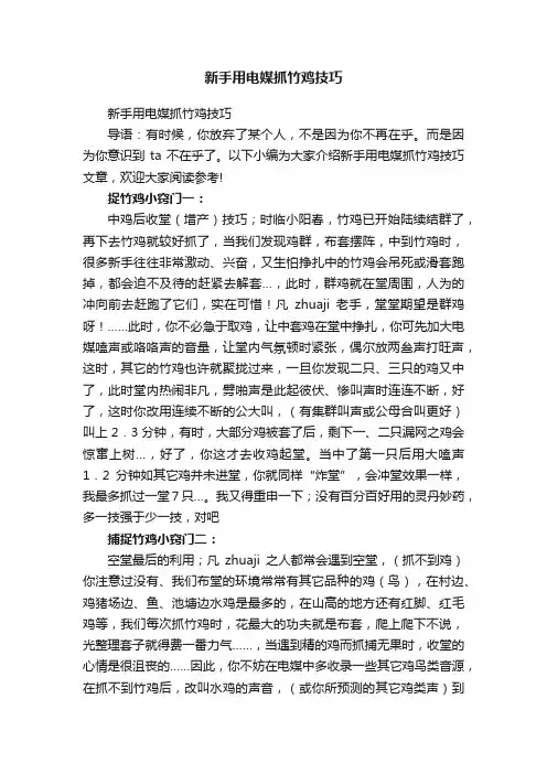 新手用电媒抓竹鸡技巧