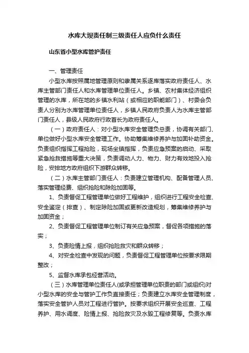 水库大坝责任制三级责任人应负什么责任