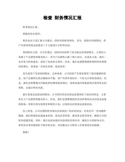 检查 财务情况汇报