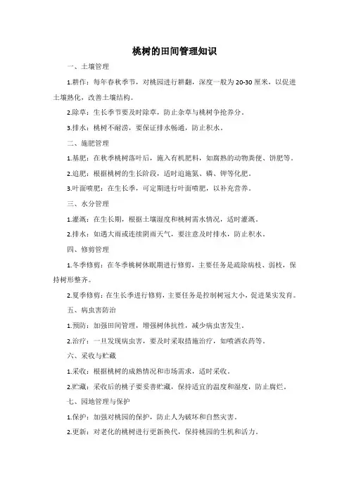 桃树的田间管理知识