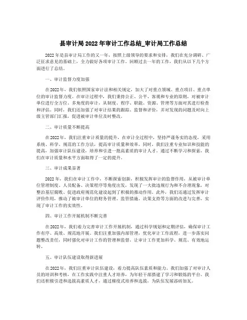 县审计局2022年审计工作总结_审计局工作总结