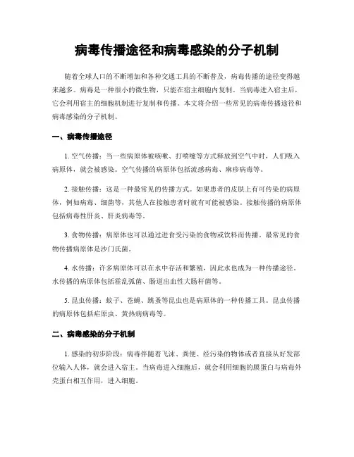 病毒传播途径和病毒感染的分子机制