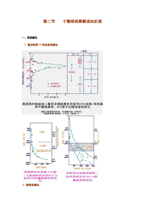 干酪根生油气概论(DOC)