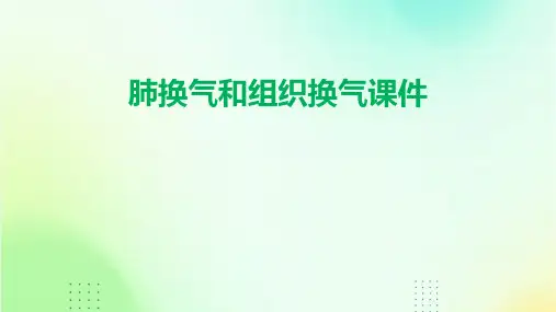 肺换气和组织换气课件