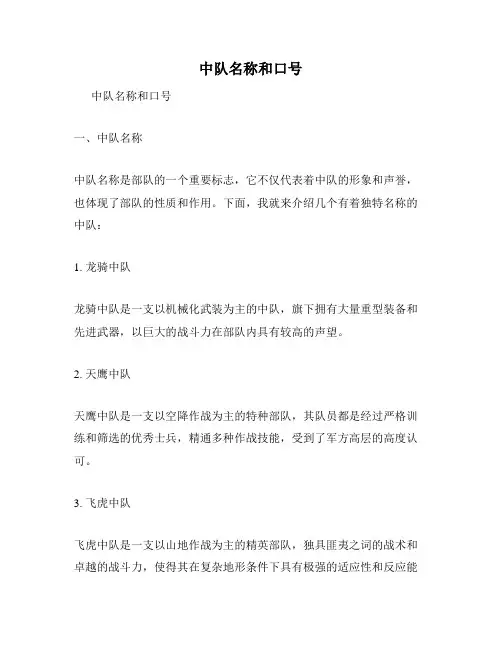 中队名称和口号