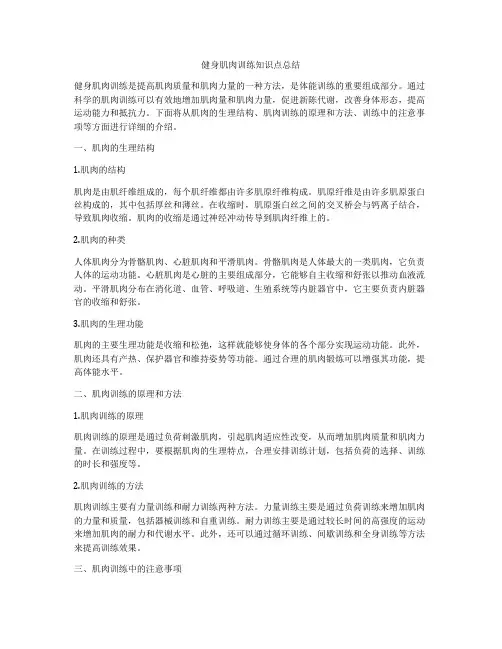 健身肌肉训练知识点总结