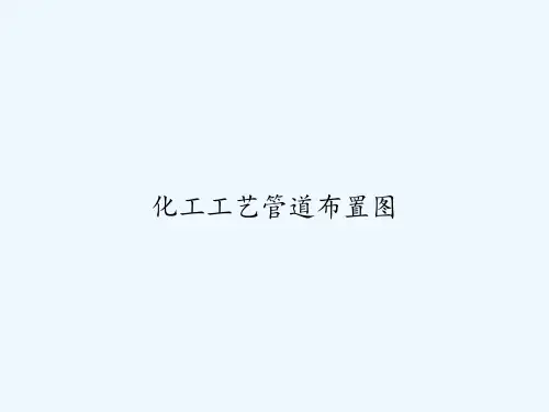 化工工艺管道布置图-PPT