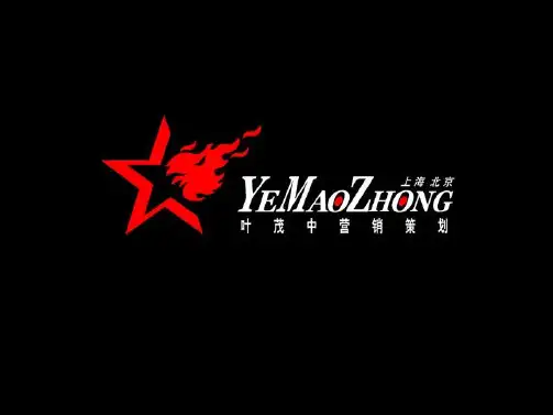 PPT文档-叶茂中-大红鹰品牌营销诊断及规划(沟通案)