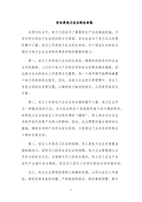 安全是电力企业的生命线