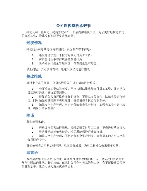 公司巡视整改承诺书