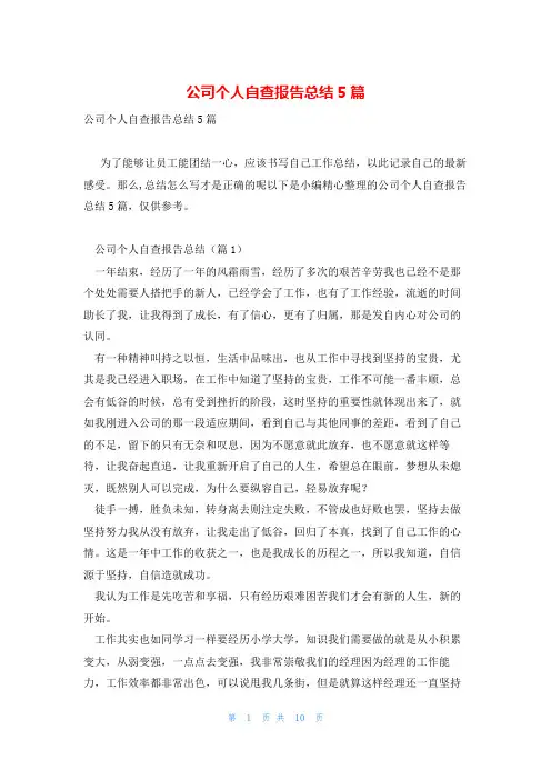 公司个人自查报告总结5篇