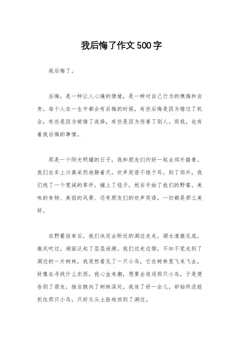 我后悔了作文500字