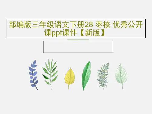 部编版三年级语文下册28 枣核 优秀公开课ppt课件【新版】共41页