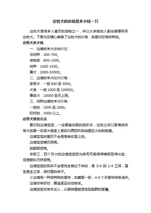 边牧犬的价格是多少钱一只
