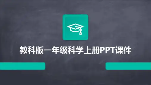 2024版教科版一年级科学上册PPT课件