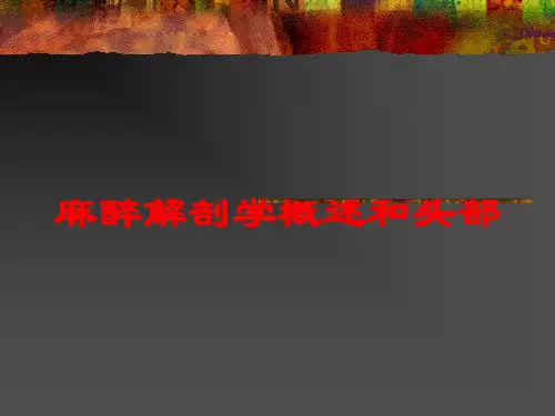 麻醉解剖学概述和头部培训课件
