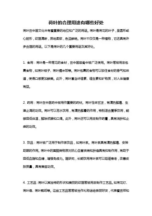 荷叶的合理用途有哪些好处